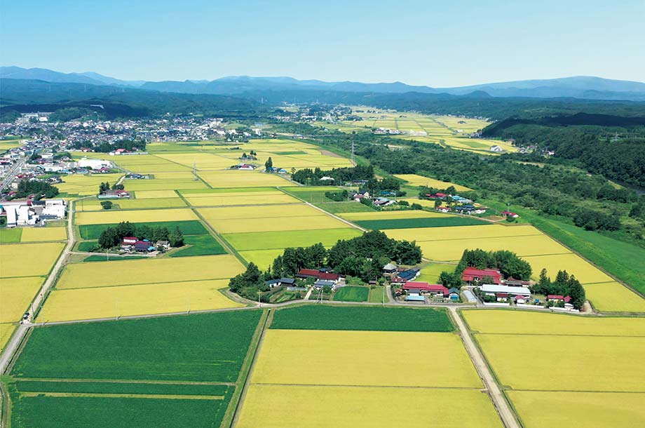 水田風景