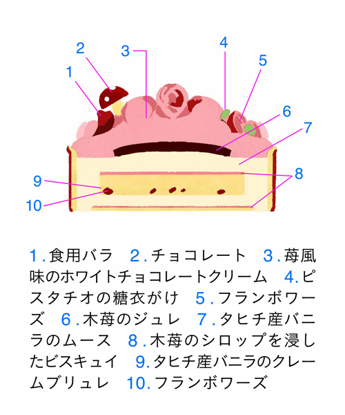 <メゾンジブレー> 木苺のノエルルージュの断面図