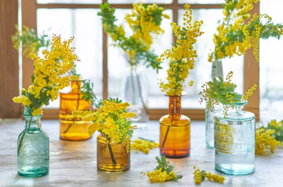 3月 ~早春を告げる花々とミモザ~の画像
