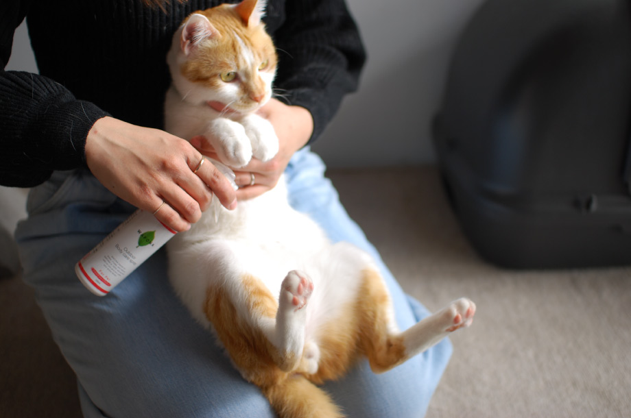 アウトドアボディケアスプレーを愛猫にも使用している画像