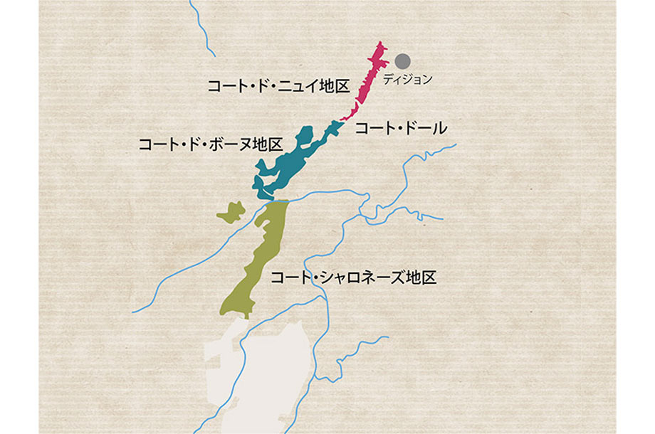 ブルゴーニュワインの特徴とおすすめ10選 22年 フーズ 三越伊勢丹オンラインストア 公式