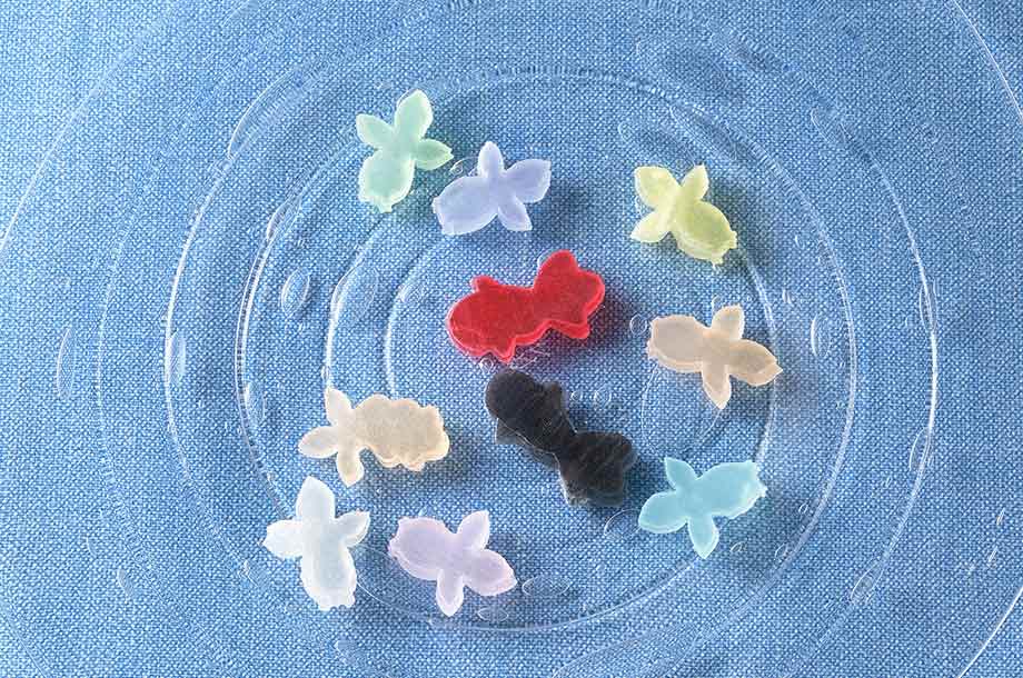 <石川屋本舗 >かいちん(金魚)の画像