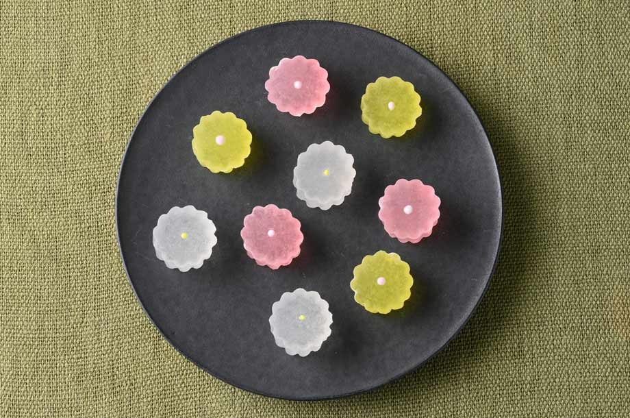 重陽菊琥珀の画像