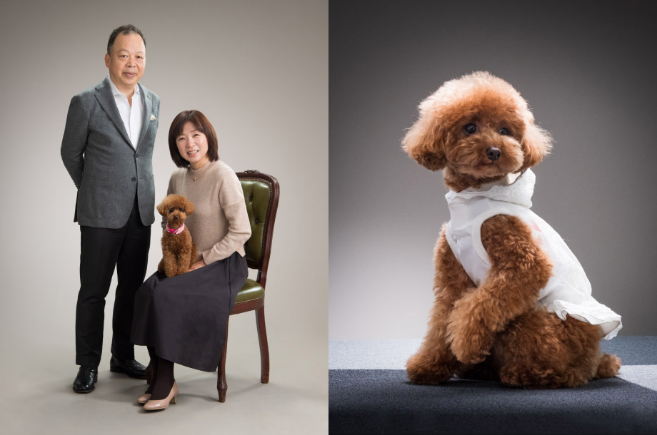 ペットとのスタジオ撮影の画像