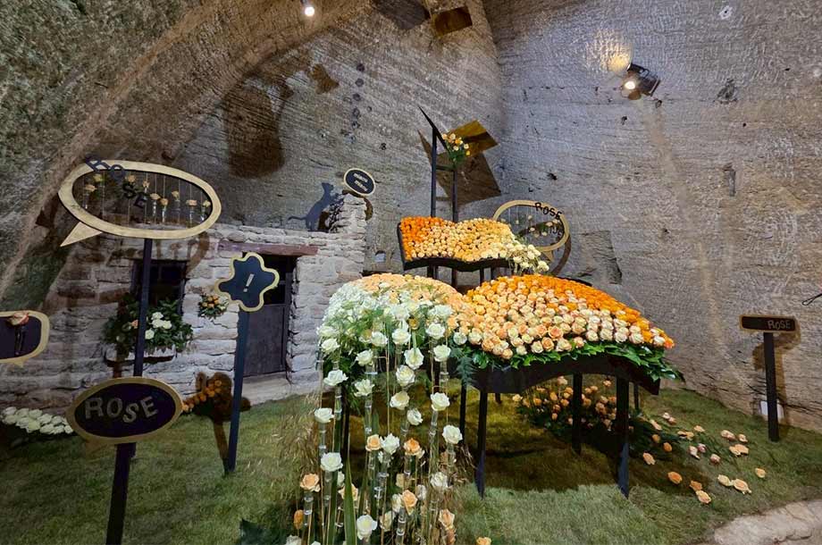 バラとコミックス(漫画)の作品画像