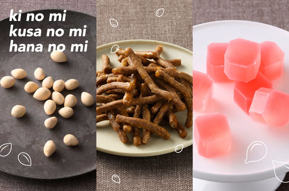 【菓遊庵 旬歳時記】木の実を使ったお菓子と、胡麻などの草の実や無花果や柘榴を使った花の実のお菓子を特集。