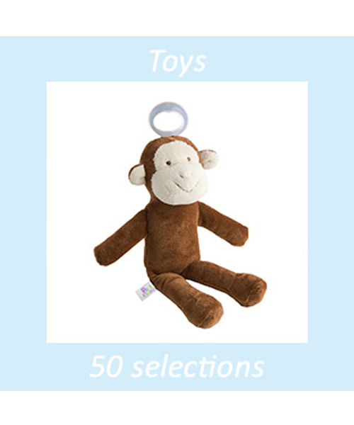 ＜パシフレンズ＞ パシフレンズ（さる）の画像