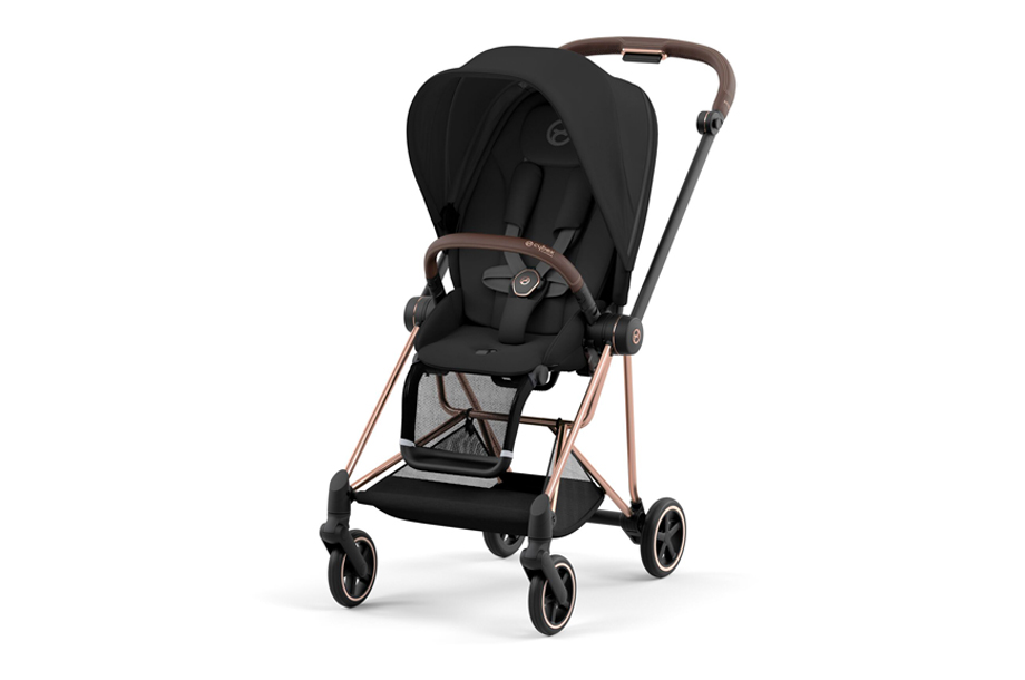 はじめてのベビーカー選びに。海外＆国内の人気5ブランドの特徴は