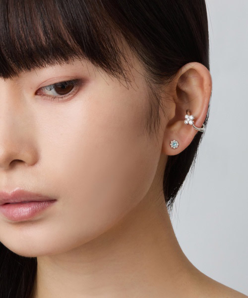 ピアス&イヤーカフの使用画像