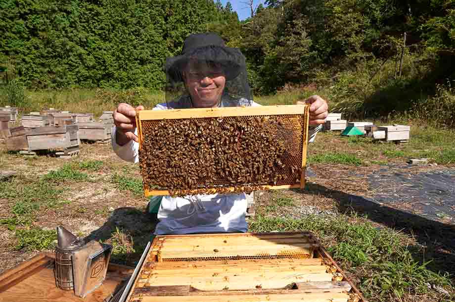 ＜堀養蜂園＞採蜜場の様子画像
