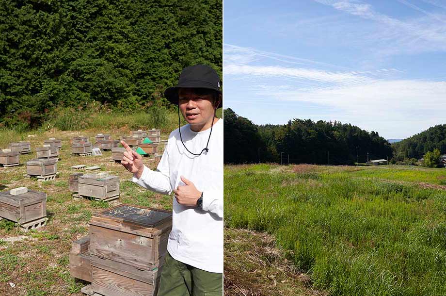 ＜堀養蜂園＞採蜜場の様子画像