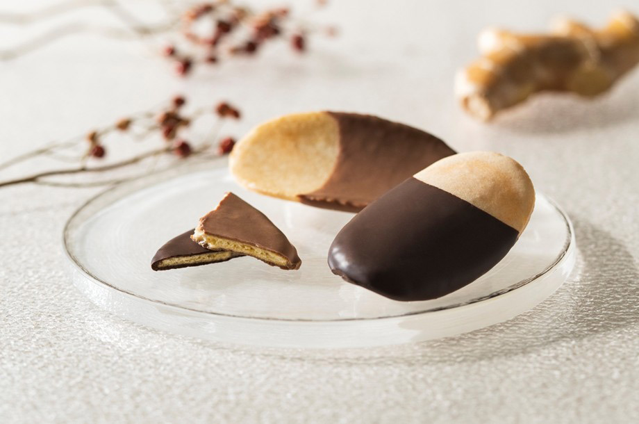 柴舟 ミルクチョコレートとダークチョコレートの画像