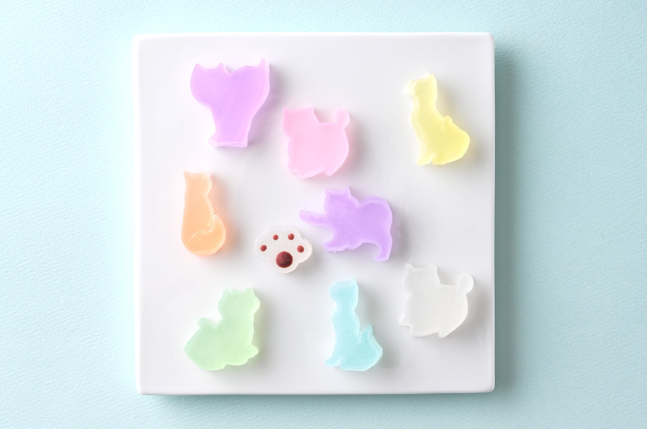 石川＜石川屋本舗＞かいちん (猫)の画像