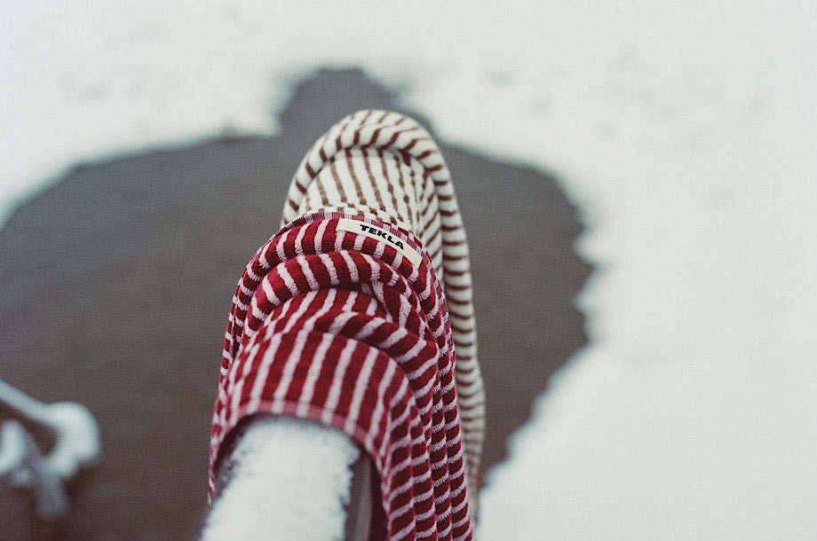 <テクラ>の画像