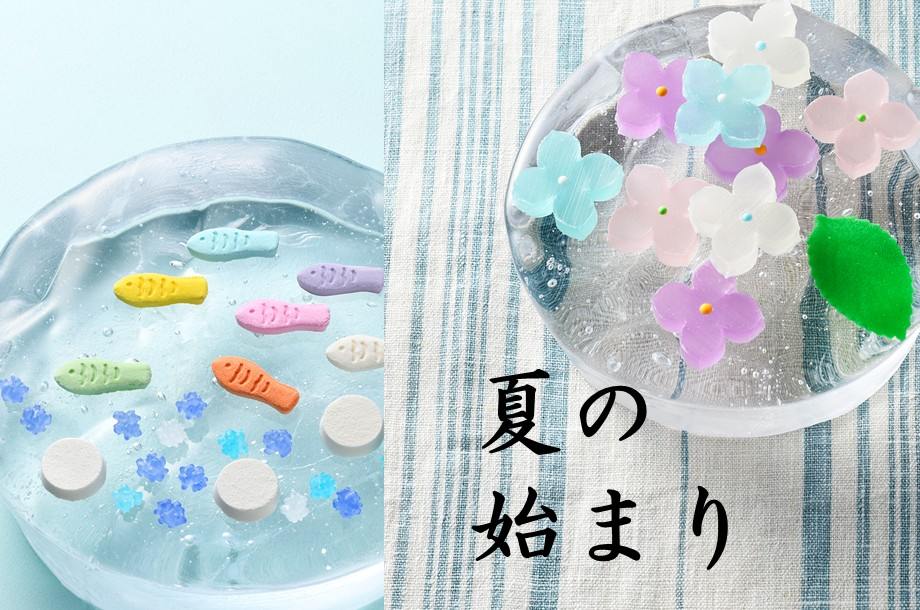 【菓遊庵 旬歳時記】夏の始まりを知らせるお菓子