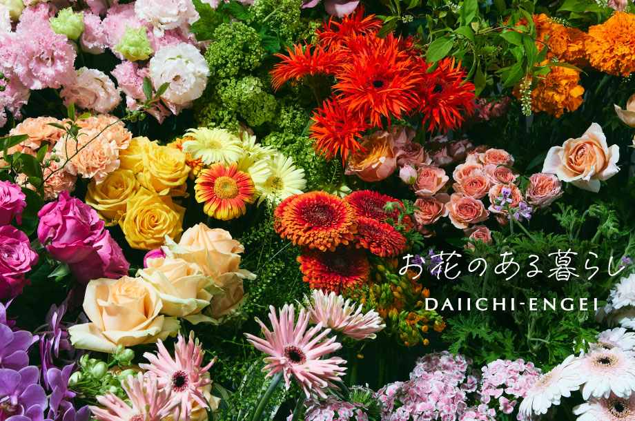 ＜第一園芸＞ お花のある暮らし