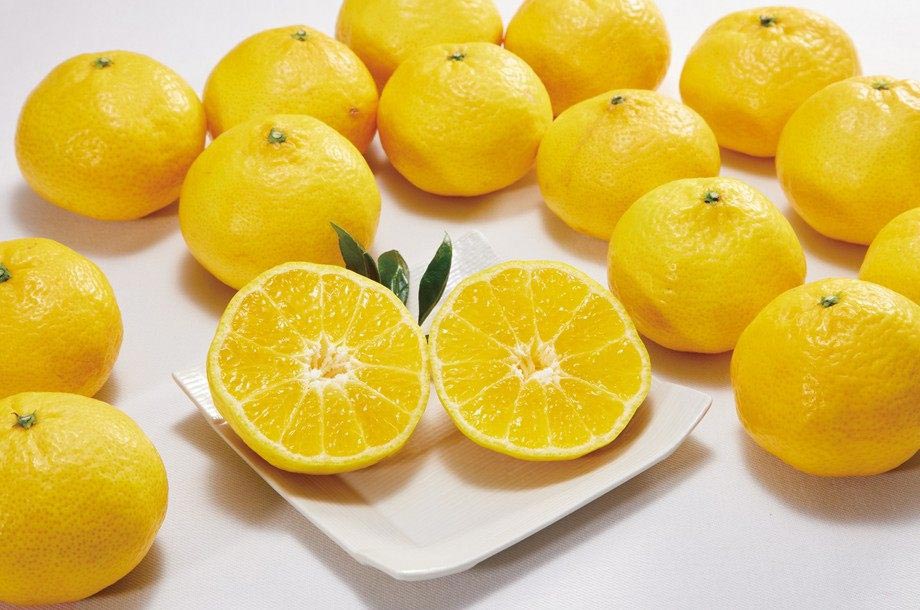 愛媛県産 媛小春の画像