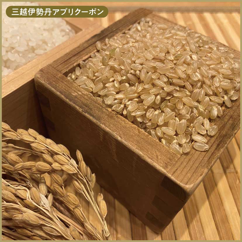 エムアイカード×GINZA WEEK 2025_量り売り玄米10％増量サービスの画像