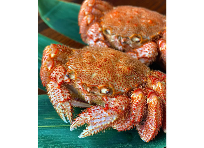 ＜枝幸水産＞ 毛がにの画像