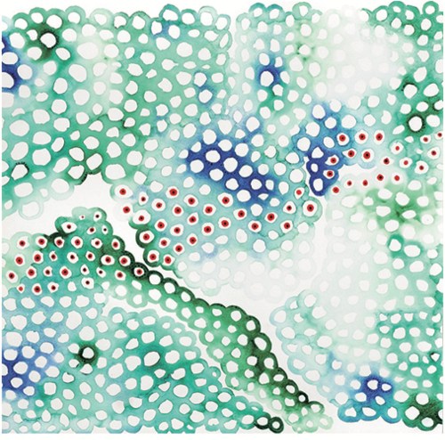 西村 宏堂展「Cells - 細胞 -」_細胞シリーズ 「みんな繋がっている」_「Green Dragon」の画像